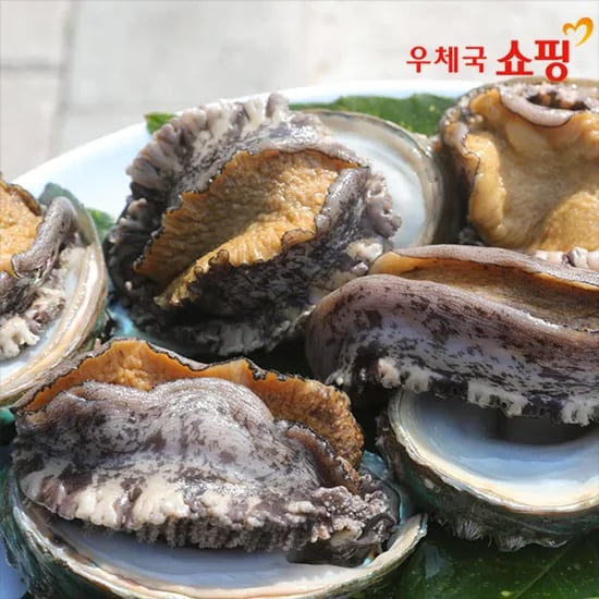 완도 활전복 1kg 9-11미