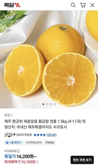 제주 황금향 2.5kg 10~18과