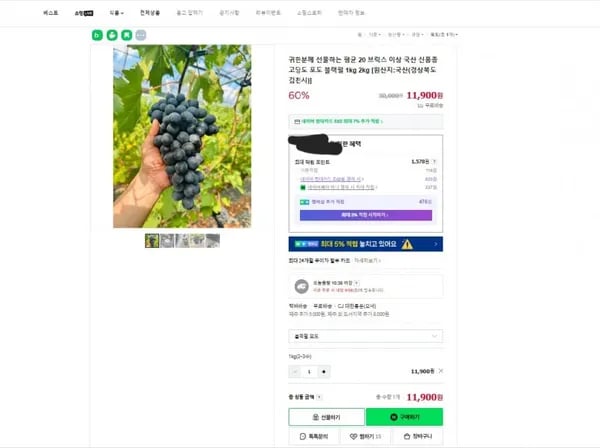 신품종 고당고 블랙펄 1kg 2~3수
