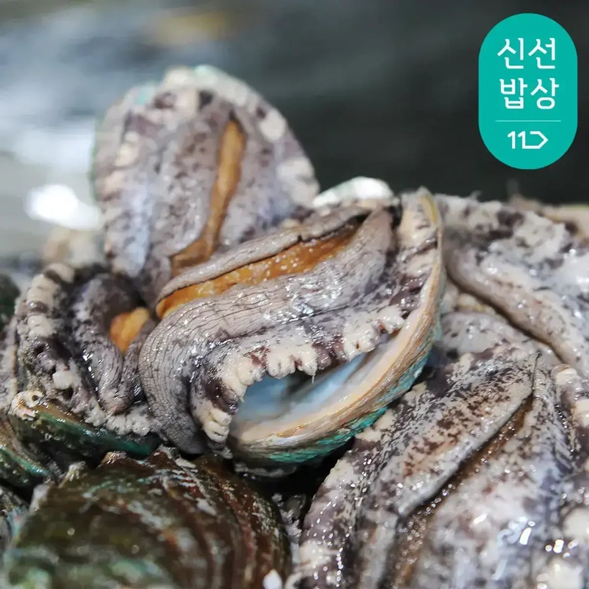 완도 대왕특대활전복 6~7미 1kg