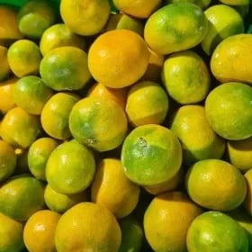 제주 햇 노지감귤 3kg 소과