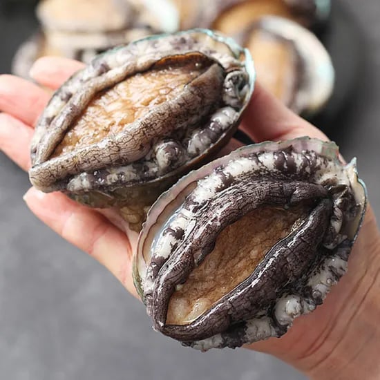 완도 전복 1kg 8-9미