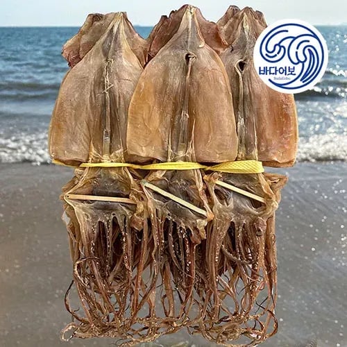 오동통 오징어다리 통족 1kg(13,758)_껍질제거 마른오징어 몸통 250g(8,796원)/무료