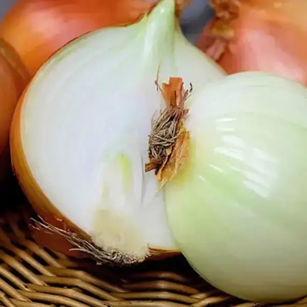 국내산 양파 (소) 5kg