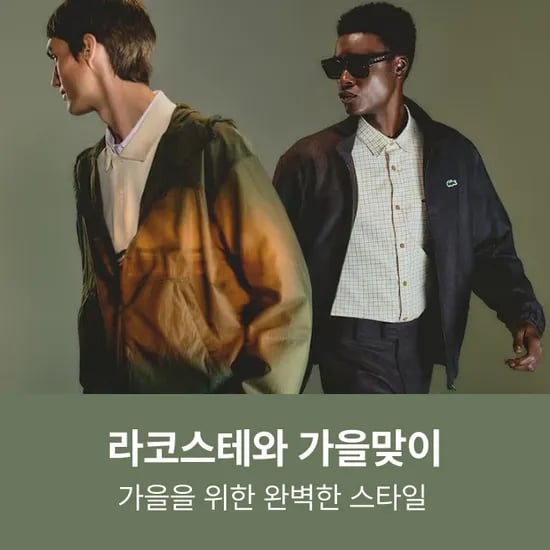 라코스테 브이넥 방모 가디건