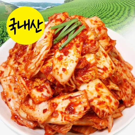 국내산 겉절이 2kg(10,169원/무배)
