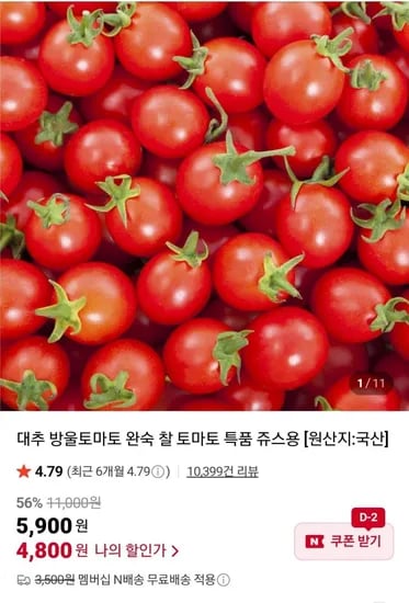 대추 방울토마토 1~3번과 1kg
