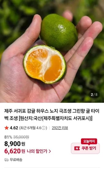극조생 감귤 4.5kg 대과
