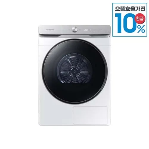 삼성 AI 건조기 2kg 화이트 DV21DG8600BW
