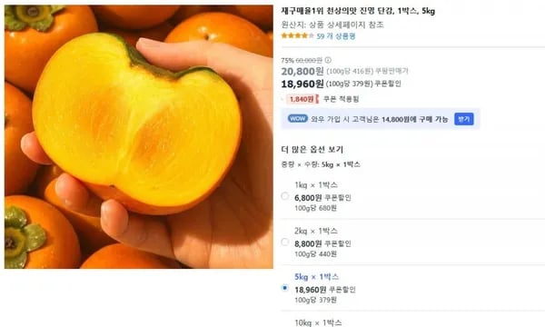 진영 단감 5kg