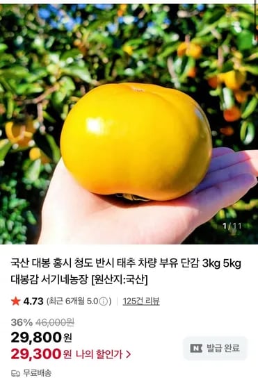 차량단감 중대과 4.5kg