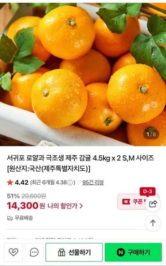 극조생 제주 감귤 4.5kg x 2