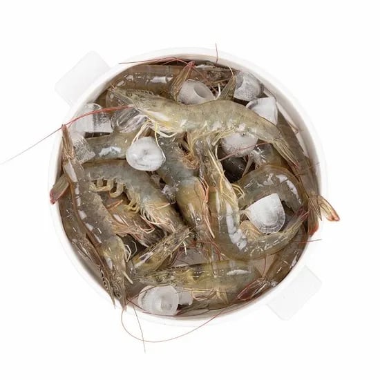참수산 활새우 1kg 26~30미