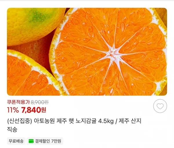 아토농원 제주 햇 노지감귤 4.5kg