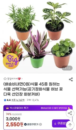 공기정화 식물화분 45종