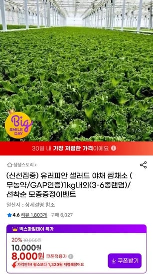 무농약 유러피안 샐러드 1kg내외 3~6종랜덤