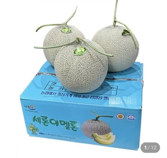 나주 세지멜론 4수 5kg