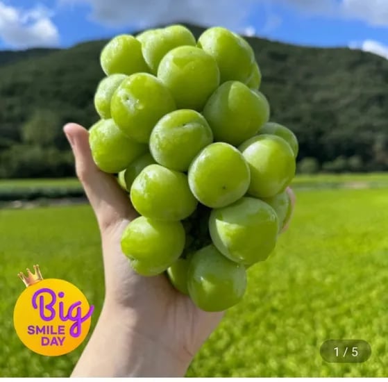 샤인머스켓 4kg 4-5수