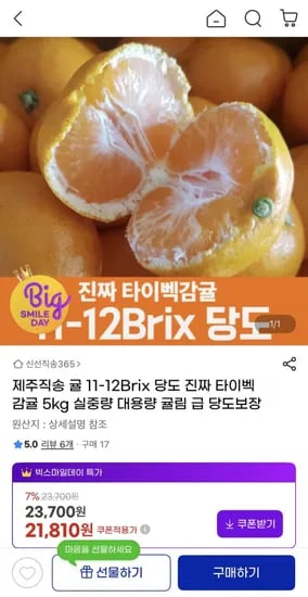 제주 타이벡 감귤 5kg