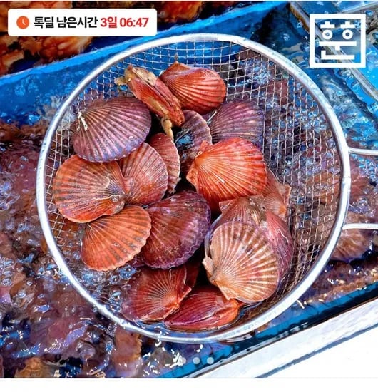 홍가리비 2kg