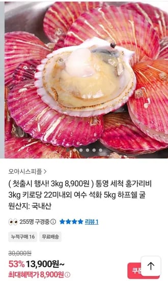 통영 세척 홍가리비 3kg