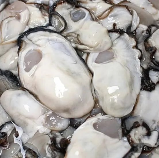 통영 생굴 1kg