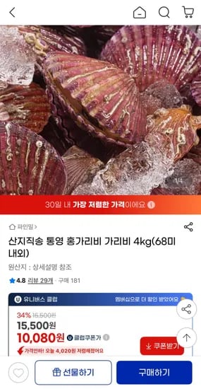 통영 산지직송 홍가리비 4kg 68미 내외