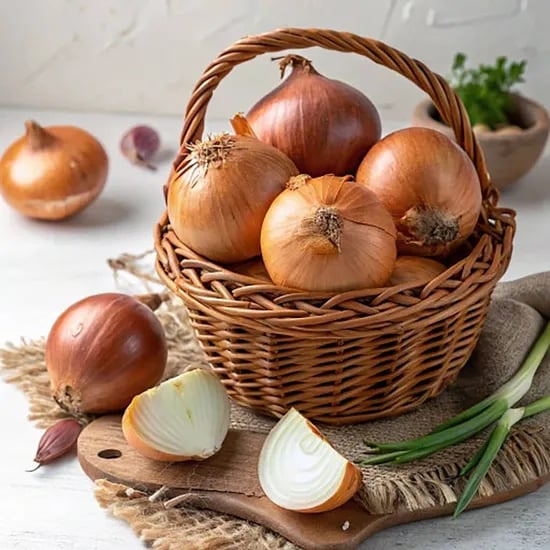 25년 무안 햇양파 5kg(소)