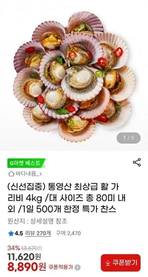 통영산 활 가리비 4kg 80미 내외