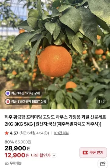 제주 황금향 꼬마과 3kg