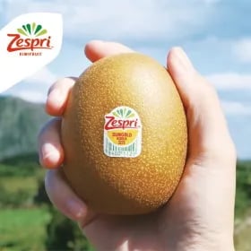 제주산 골드키위 총 2.5kg 23입