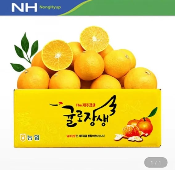 햇 황금향 4kg