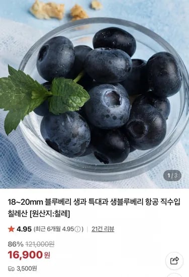 18~20mm 생 블루베리 생과 125g x 4팩 500g