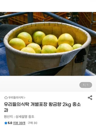 황금향 2kg 중소과
