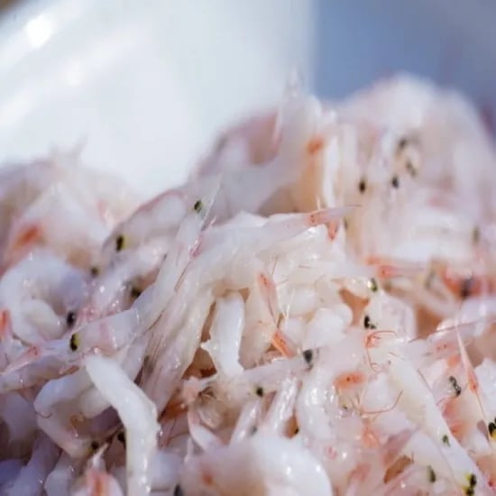 강화도 새우젓 추첫 2kg