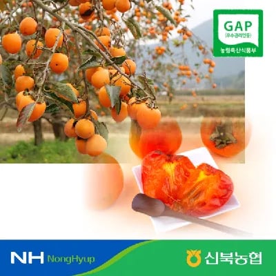 영암 황토 GAP 대봉시 홍시 5kg