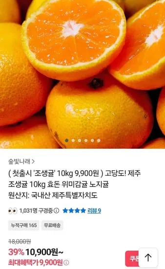 제주 조생귤 10kg