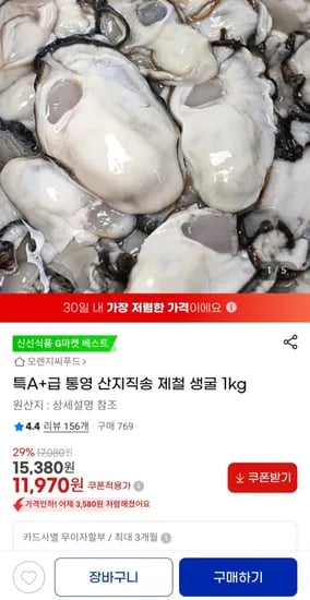 통영 생굴 1kg