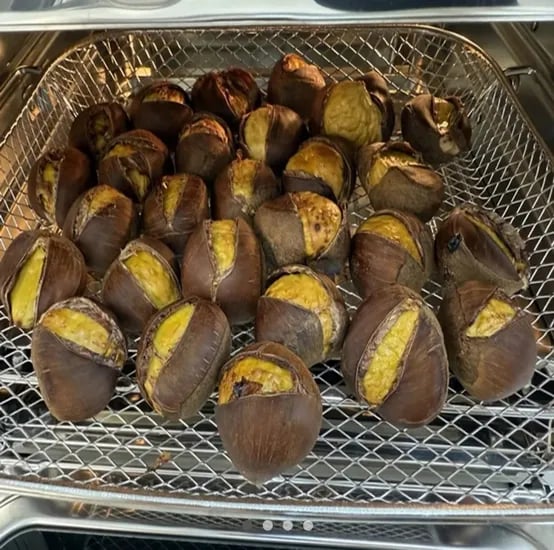 국내산 포르단 밤 1kg