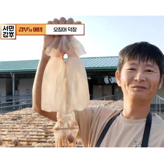 마른 오징어 250g 5미, 마른 오징어 500g 5미