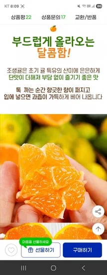 제주 노지 조생귤 로얄과 4.5kg