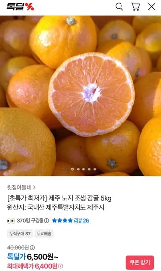 제주 노지 조생감귤 5kg