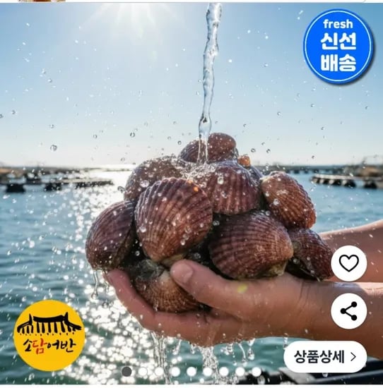통영 세척 홍가리비 5kg