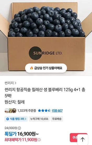 칠레산 생 블루베리 125g 5팩