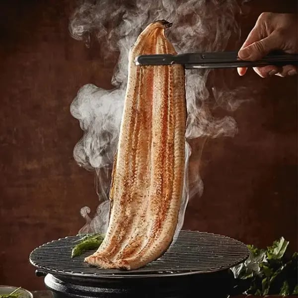 자포니카 민물 장어 손질 후 750g 내외