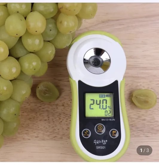 골드 스위트 포도 700g