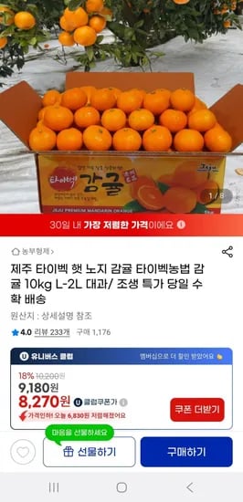 제주 타이벡 노지 감귤 0kg