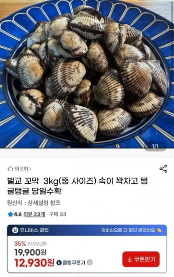 벌교 꼬막 3kg 중사이즈