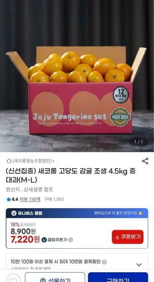 제주 감귤 4.5kg 중대과 (M-L)