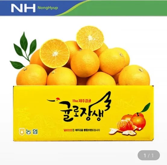 귤로장생 황금향 4kg 중소과